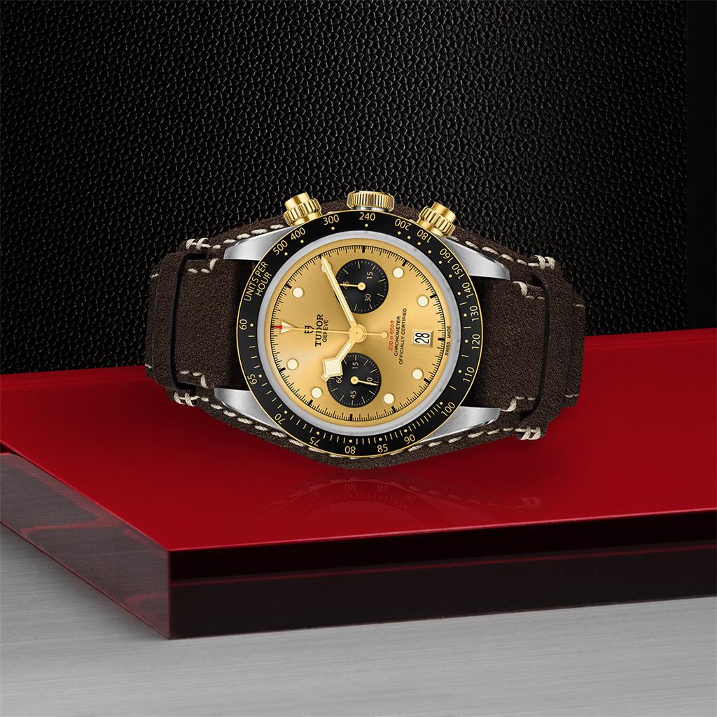 TUDOR Black Bay Chrono S&G - M79363N-0008