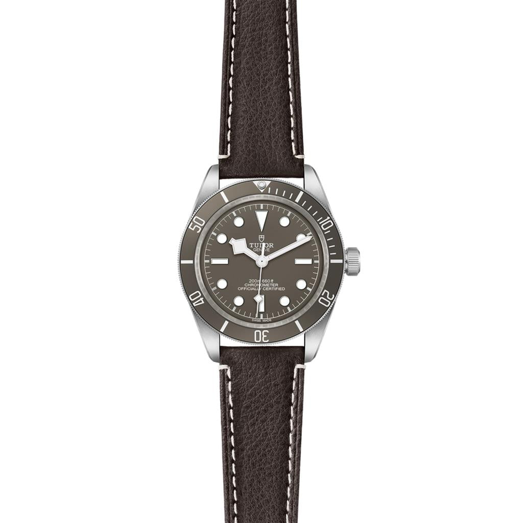 Black Bay 58 925 - M79010SG-0001
