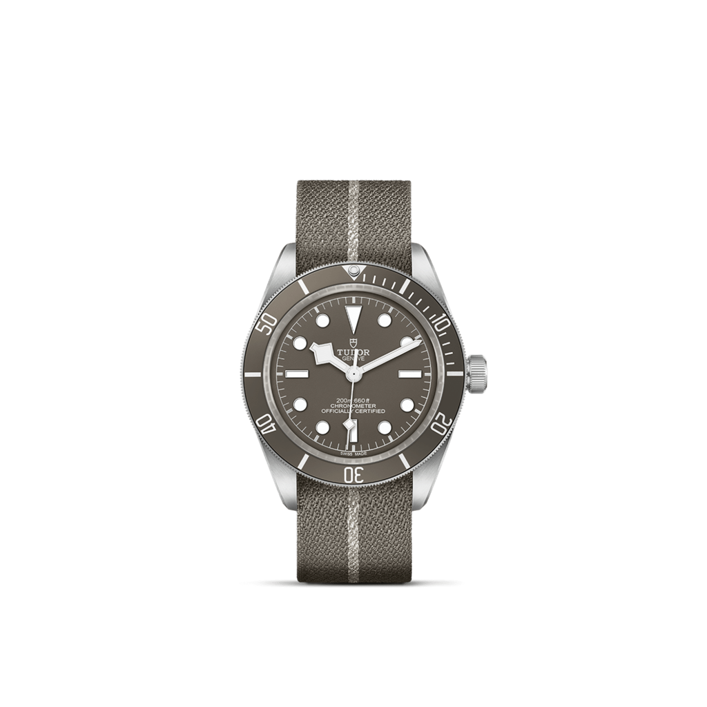 Black Bay 58 925 - M79010SG-0002