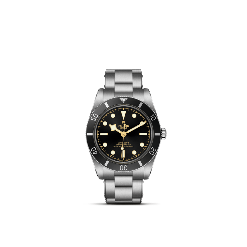Black Bay 54 - M79000N-0001