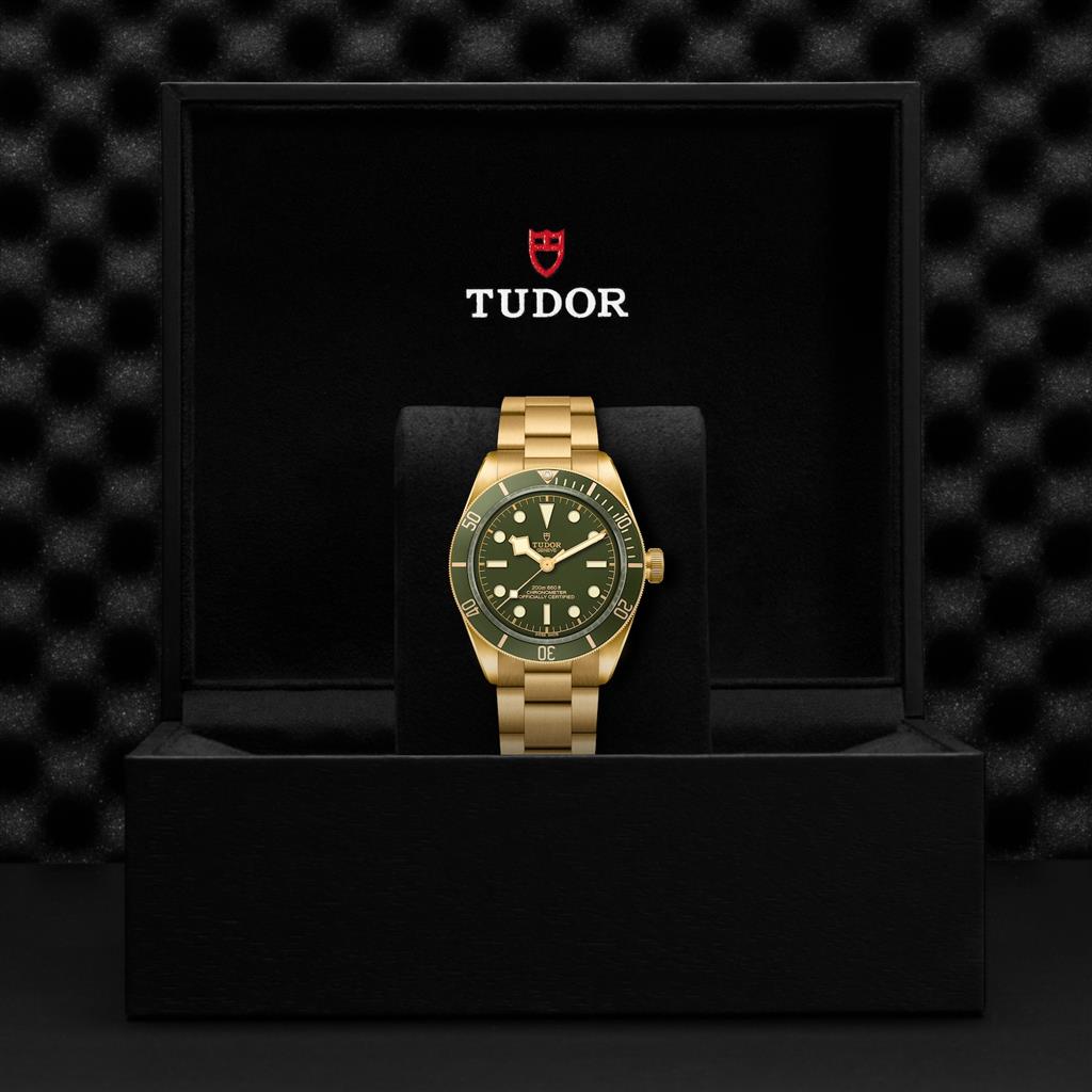 TUDOR Black Bay 58 18K