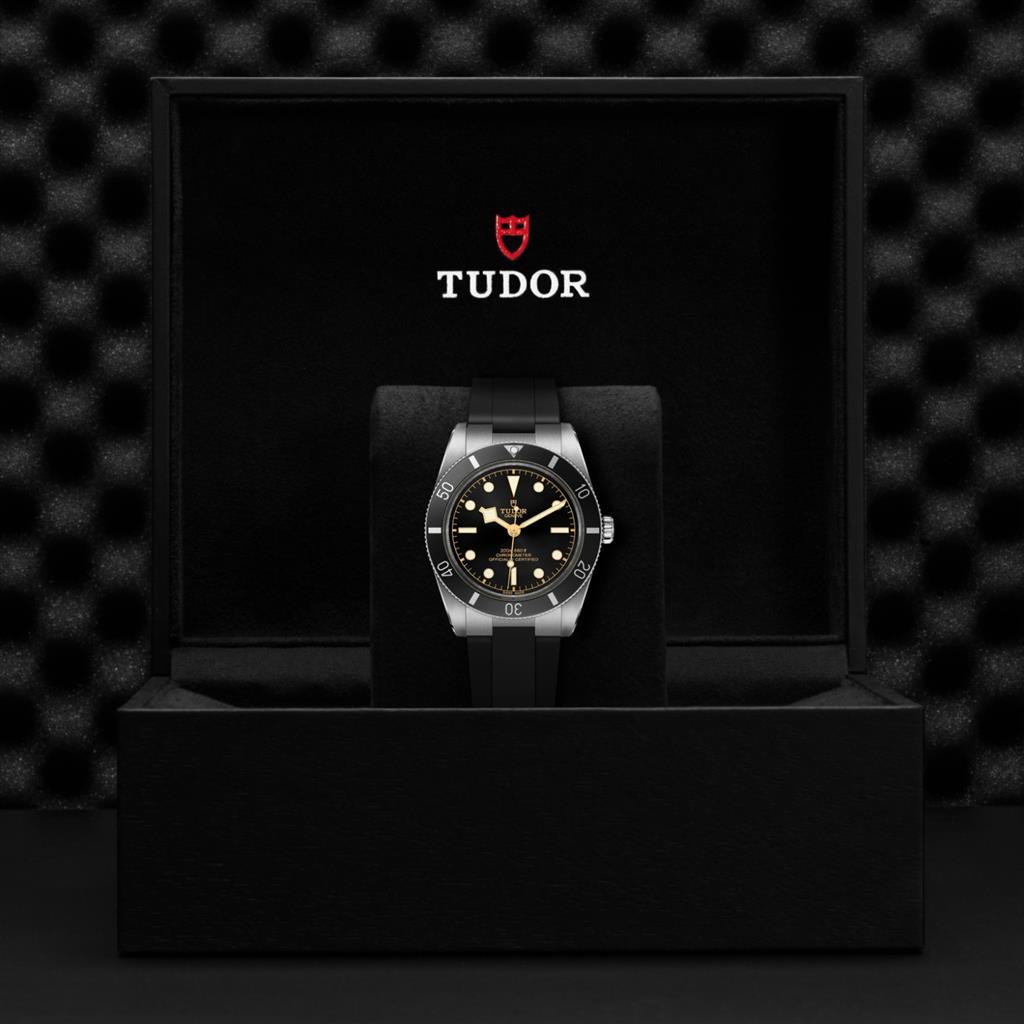 Black Bay 54 - M79000N-0002