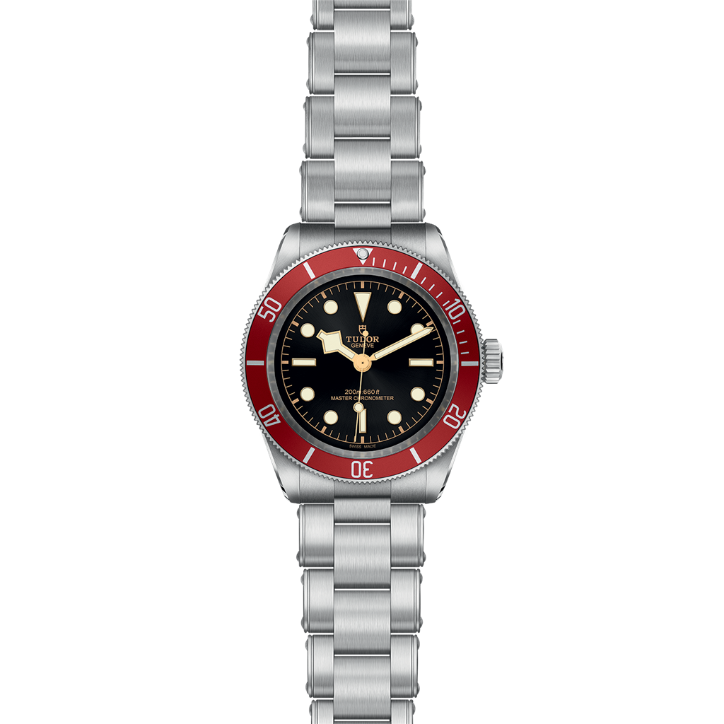 TUDOR Black Bay