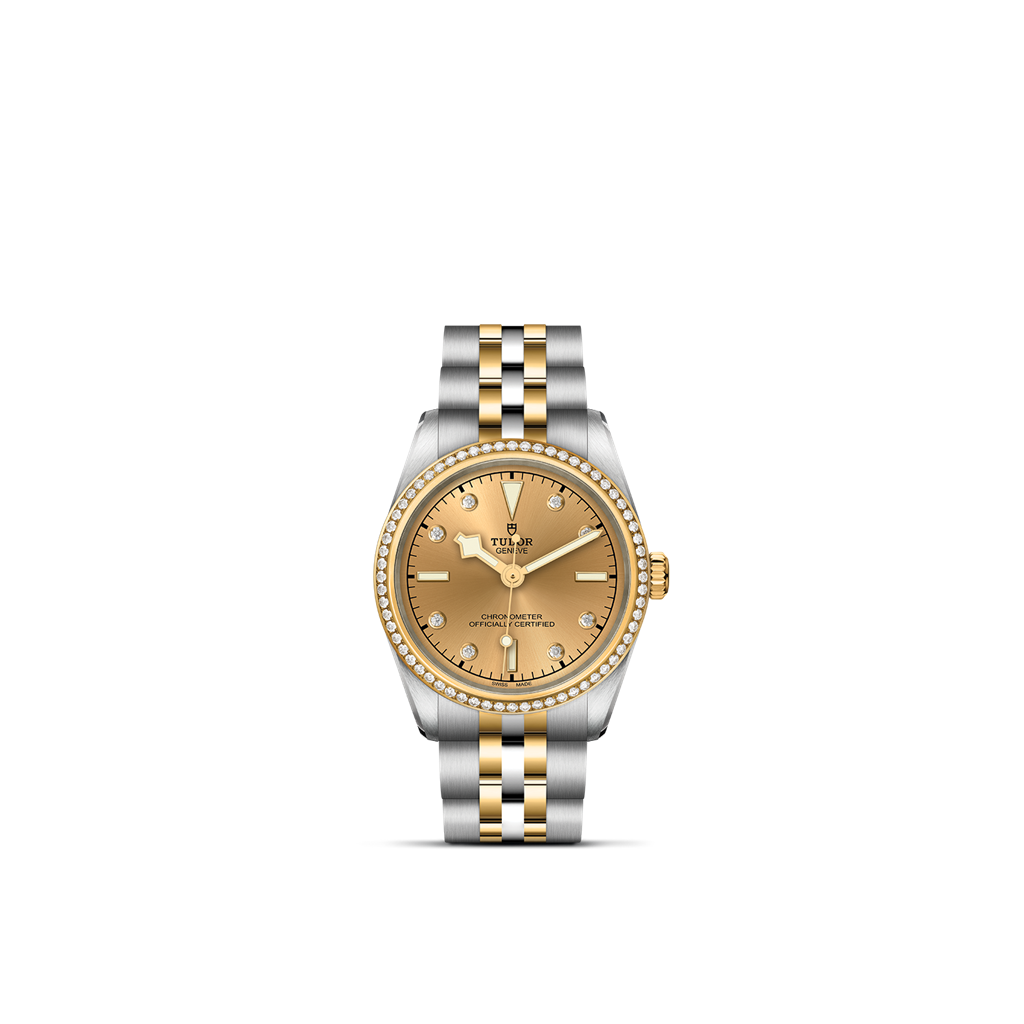 TUDOR Black Bay 31 S&G - M79613-0007