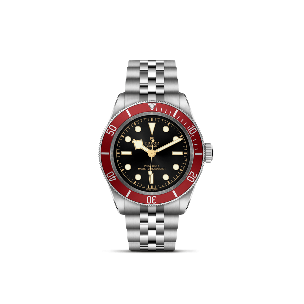 TUDOR Black Bay - M7941A1A0RU