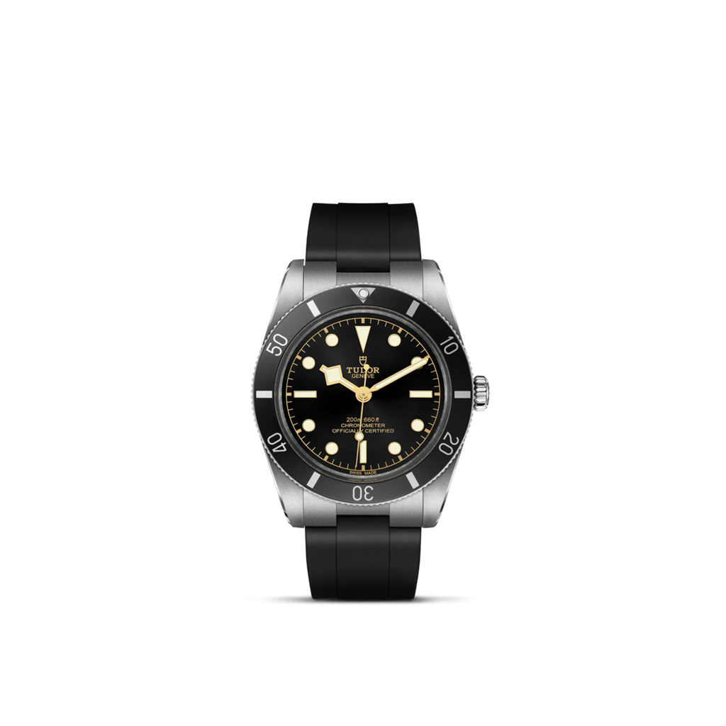 Black Bay 54 - M79000N-0002
