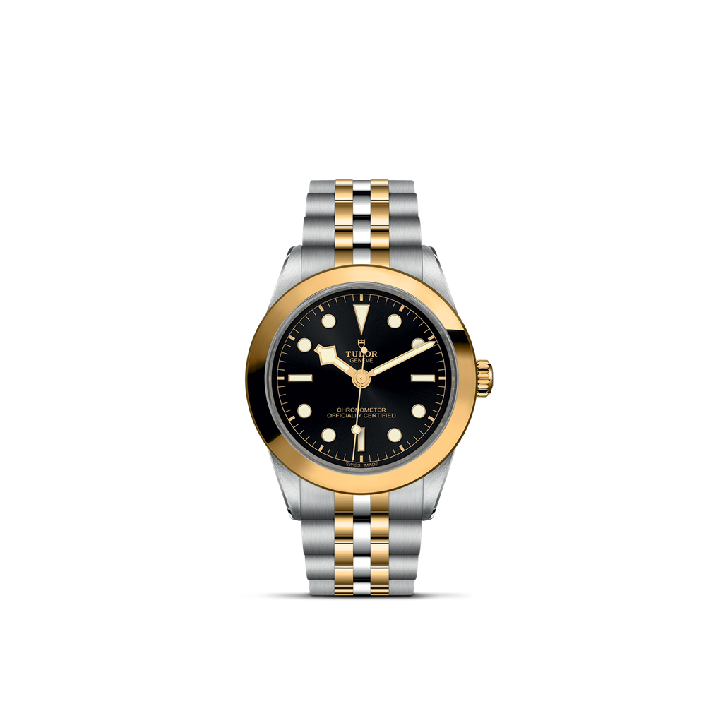 TUDOR Black Bay 39 S&G