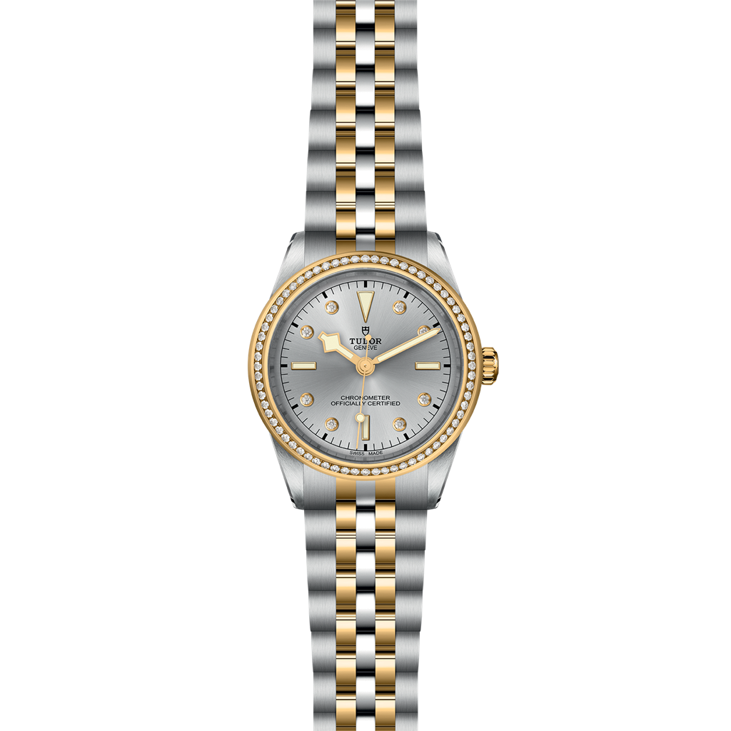 TUDOR Black Bay 39 S&G - M79673-0006