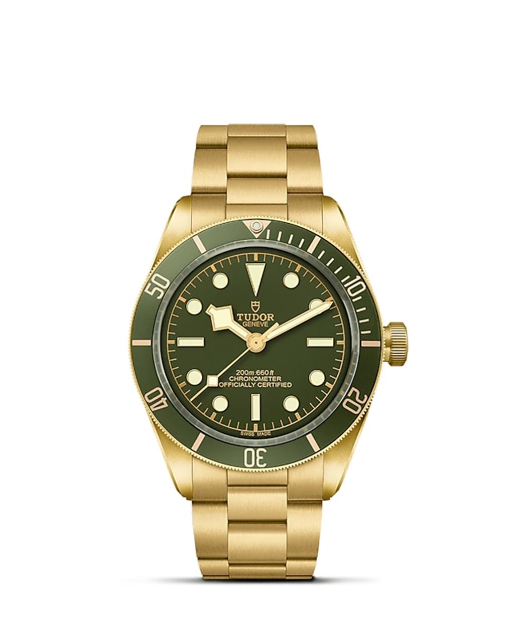 TUDOR Black Bay 58 18K - M79018V-0006