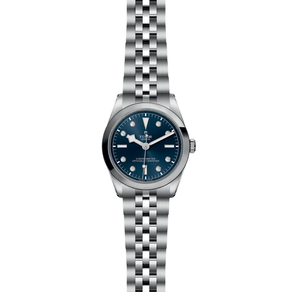 TUDOR Black Bay 36