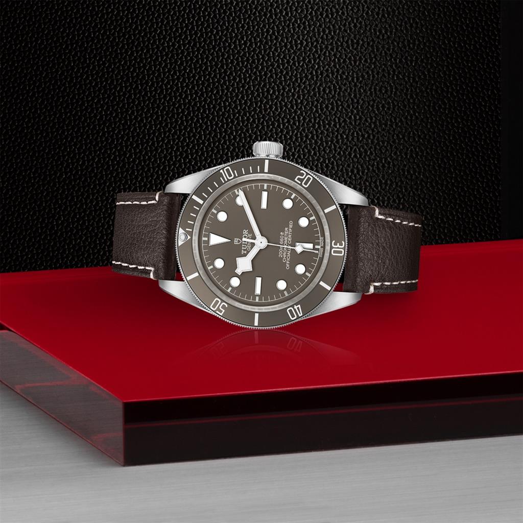 Black Bay 58 925 - M79010SG-0001