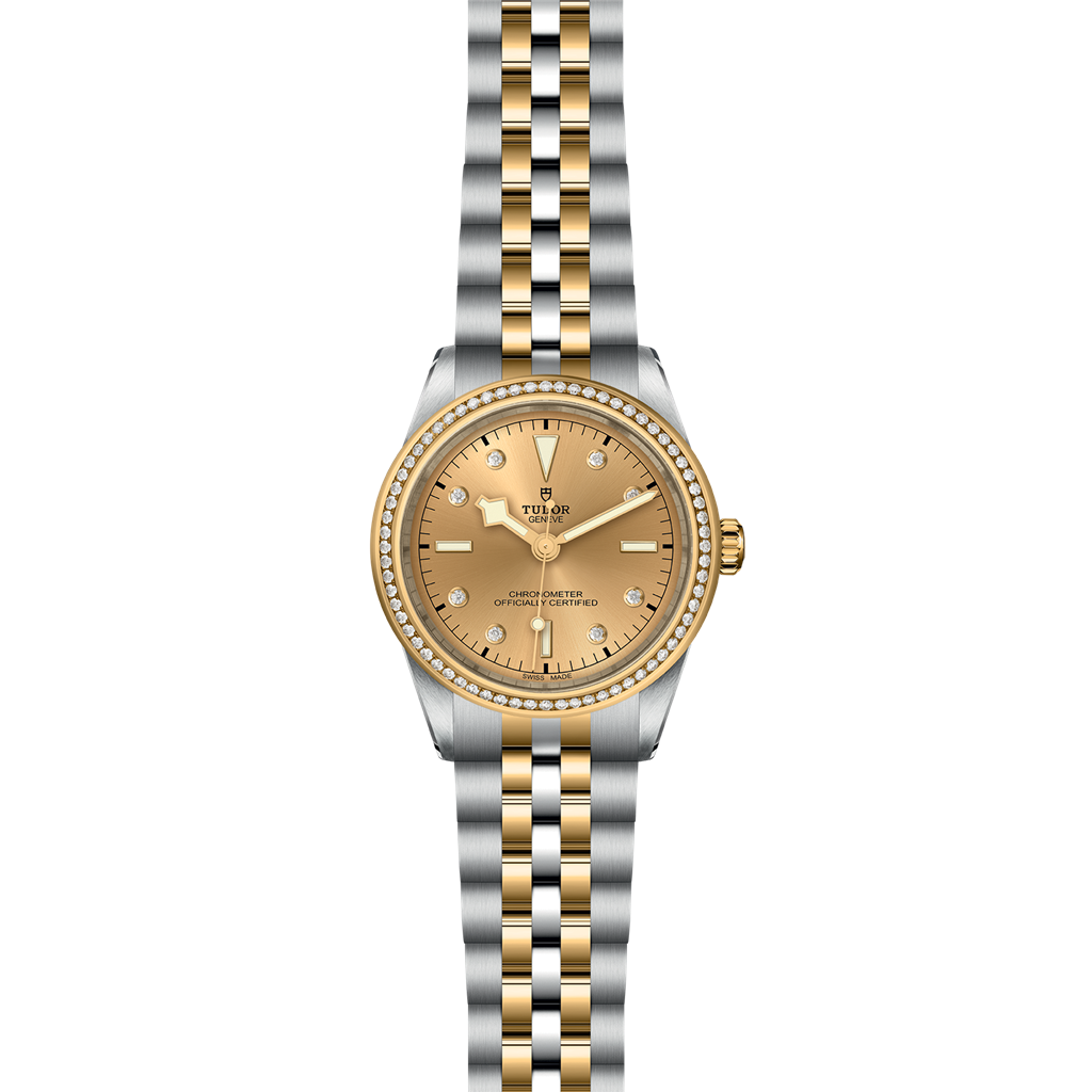 TUDOR Black Bay 39 S&G