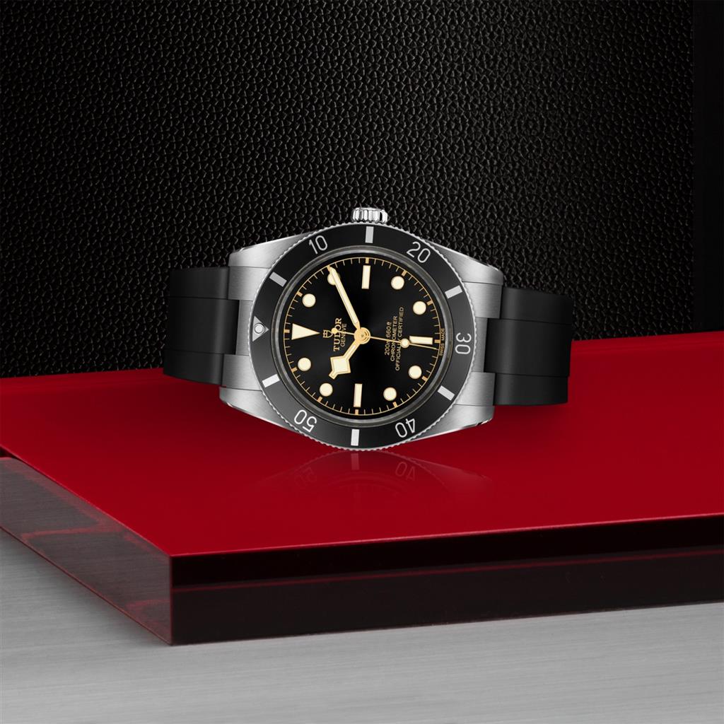 Black Bay 54 - M79000N-0002