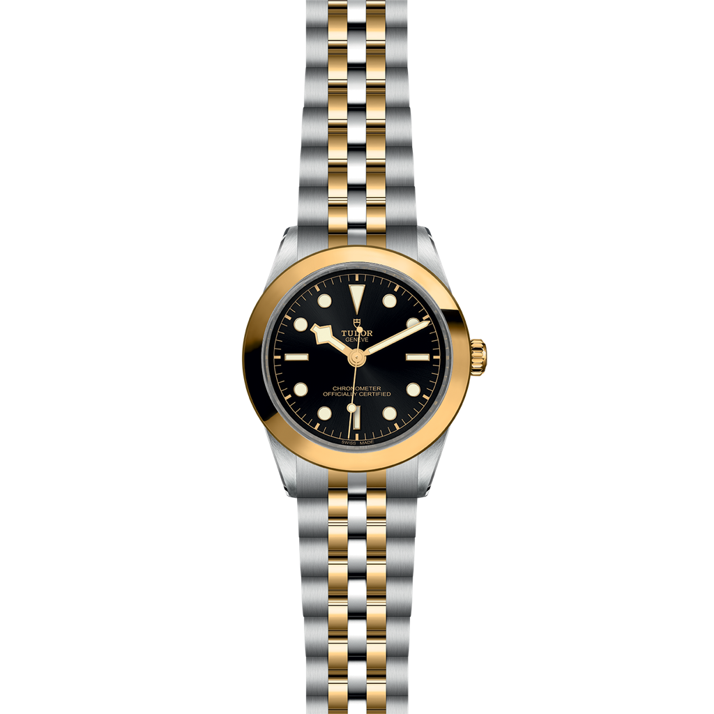 TUDOR Black Bay 39 S&G