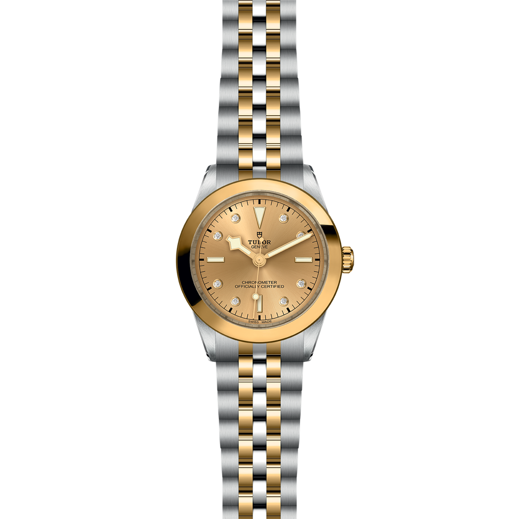 TUDOR Black Bay 39 S&G