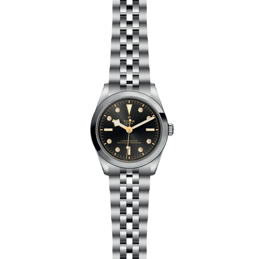 TUDOR Black Bay 36