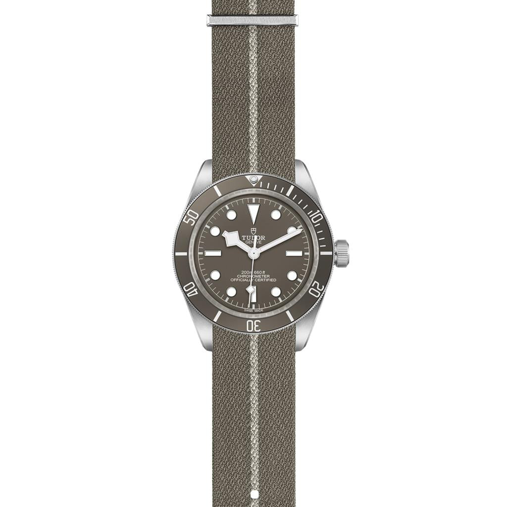 Black Bay 58 925 - M79010SG-0002
