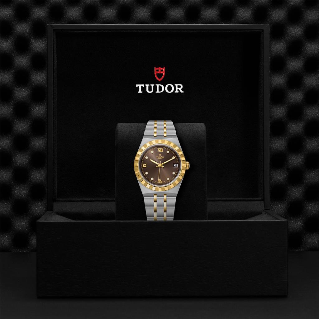TUDOR Royal - incase