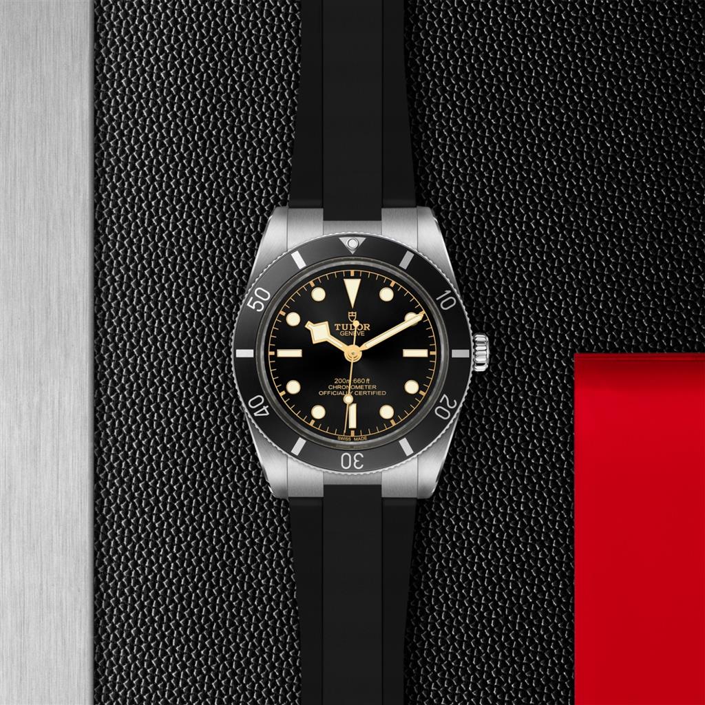 Black Bay 54 - M79000N-0002