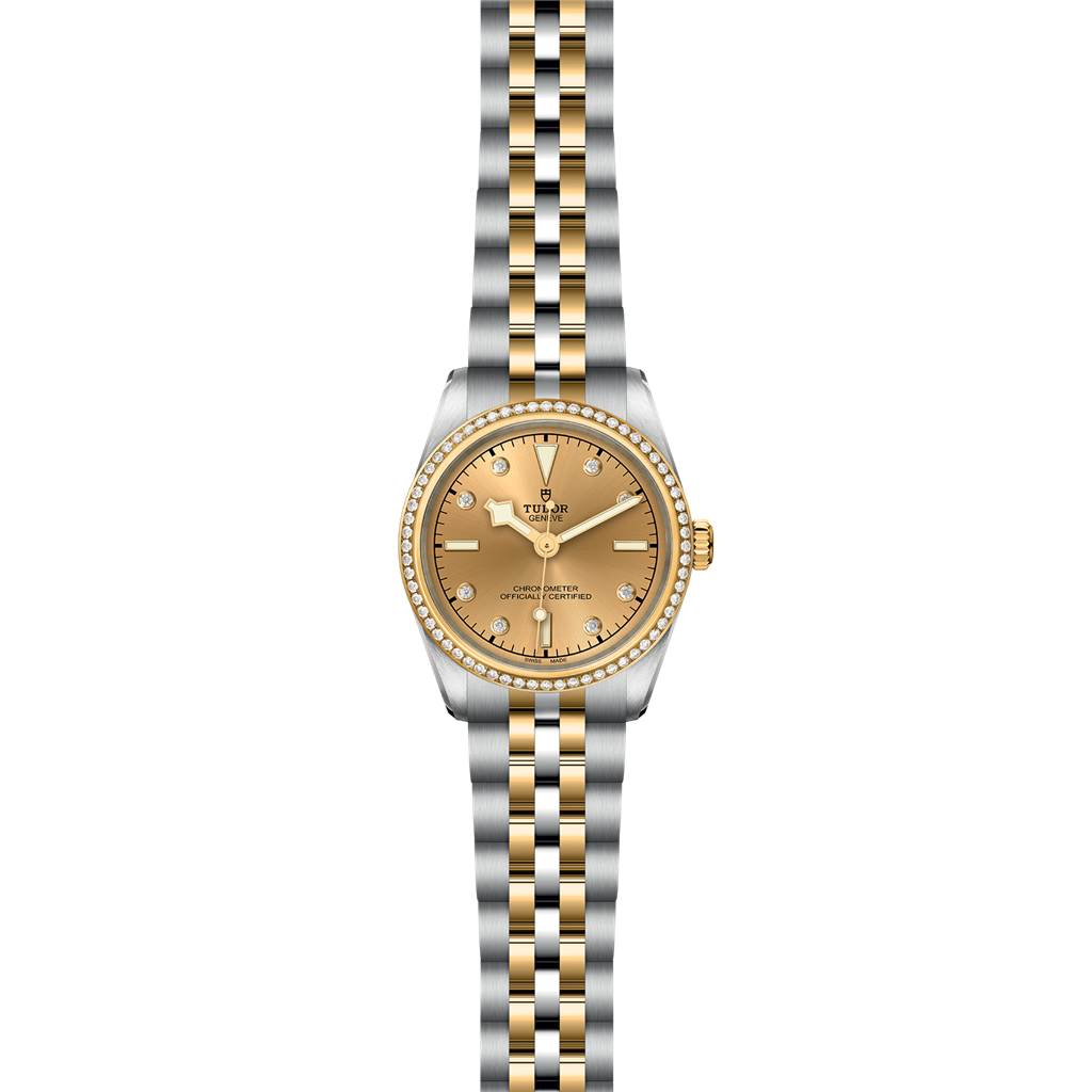 TUDOR Black Bay 31 S&G - M79613-0007