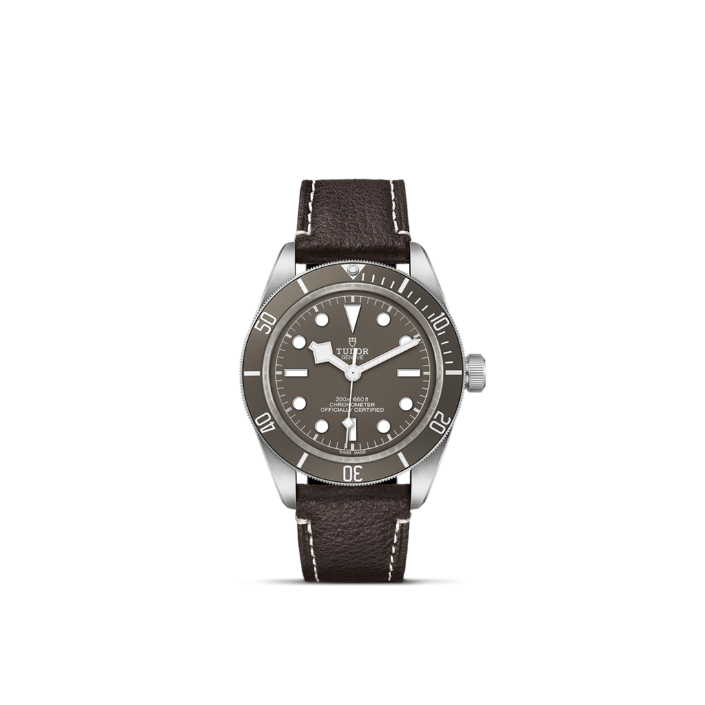 Black Bay 58 925 - M79010SG-0001
