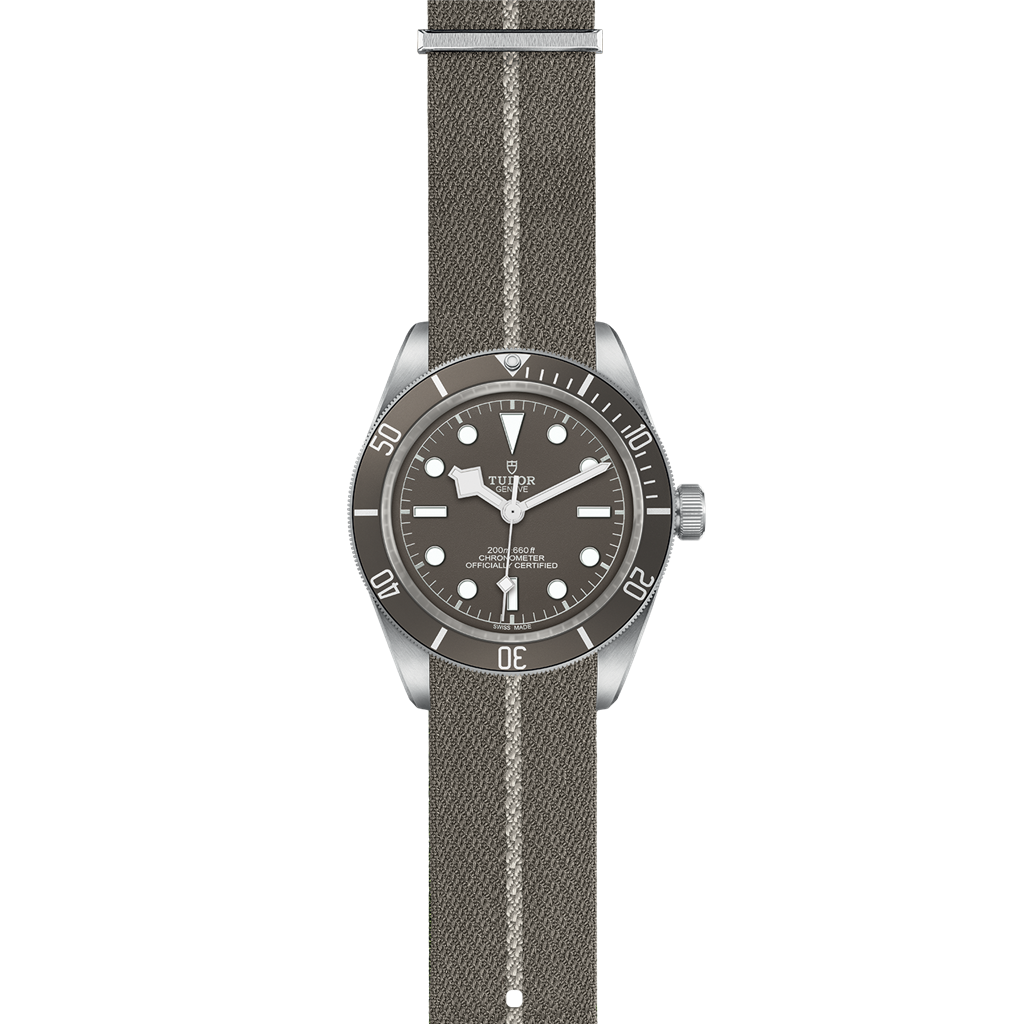 TUDOR Black Bay Fifty-Eight 925 39 mm silver case, Taupe fabric strap - M79010SG-0002