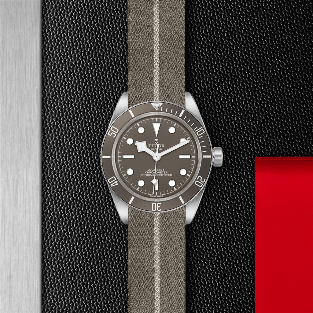 Black Bay 58 925 - M79010SG-0002