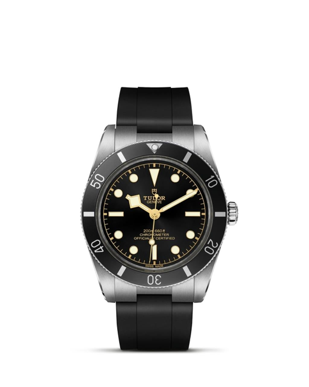 Black Bay 54 - M79000N-0002