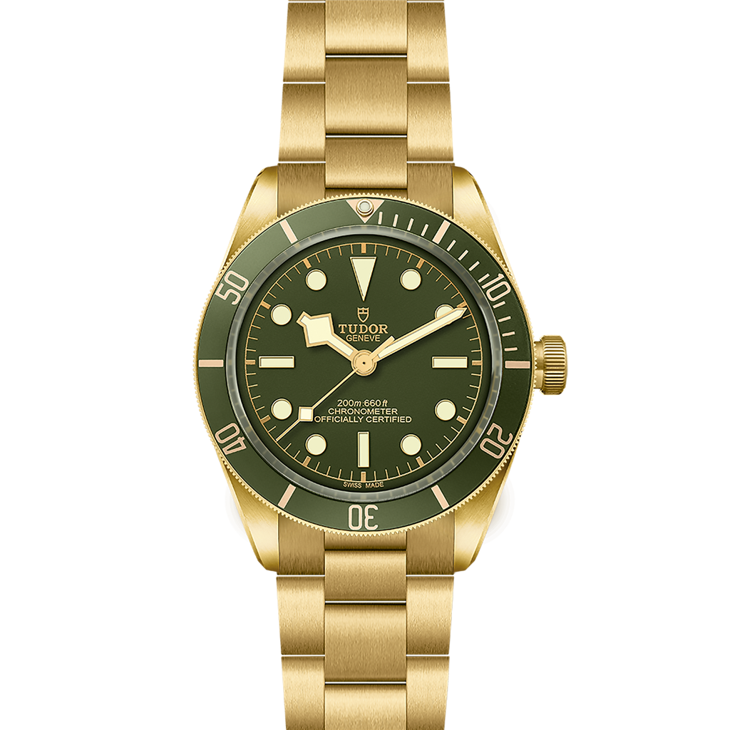 TUDOR Black Bay 58 18K - M79018V-0006