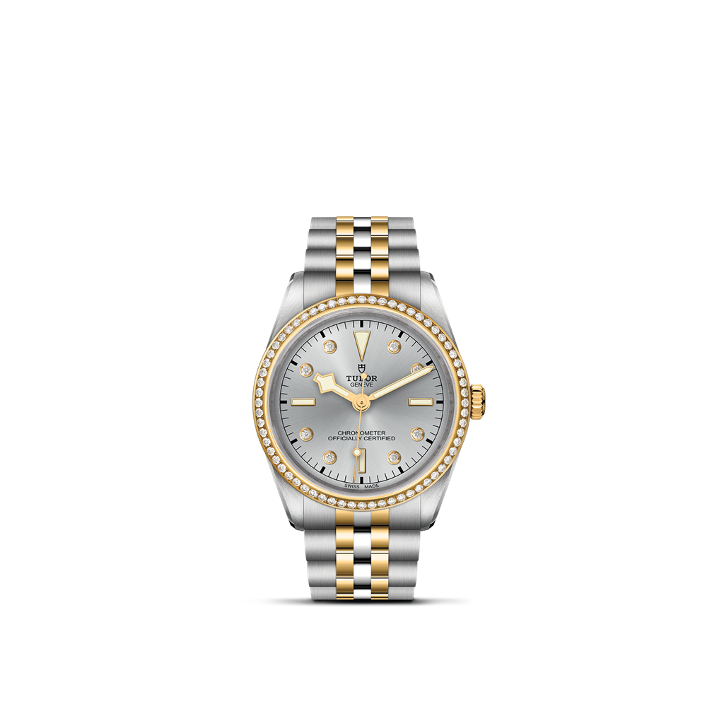 TUDOR Black Bay 36 S&G