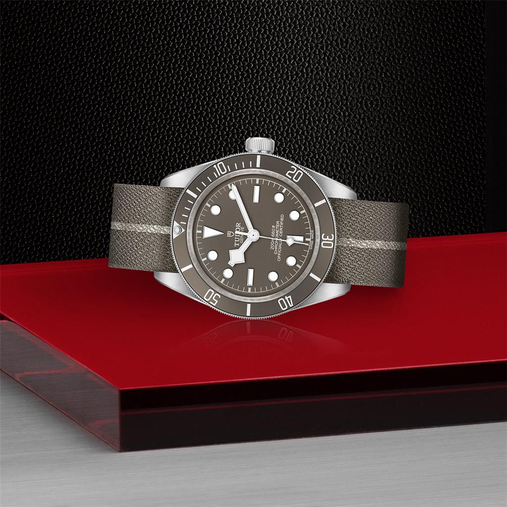 TUDOR Black Bay Fifty-Eight 925 39 mm silver case,