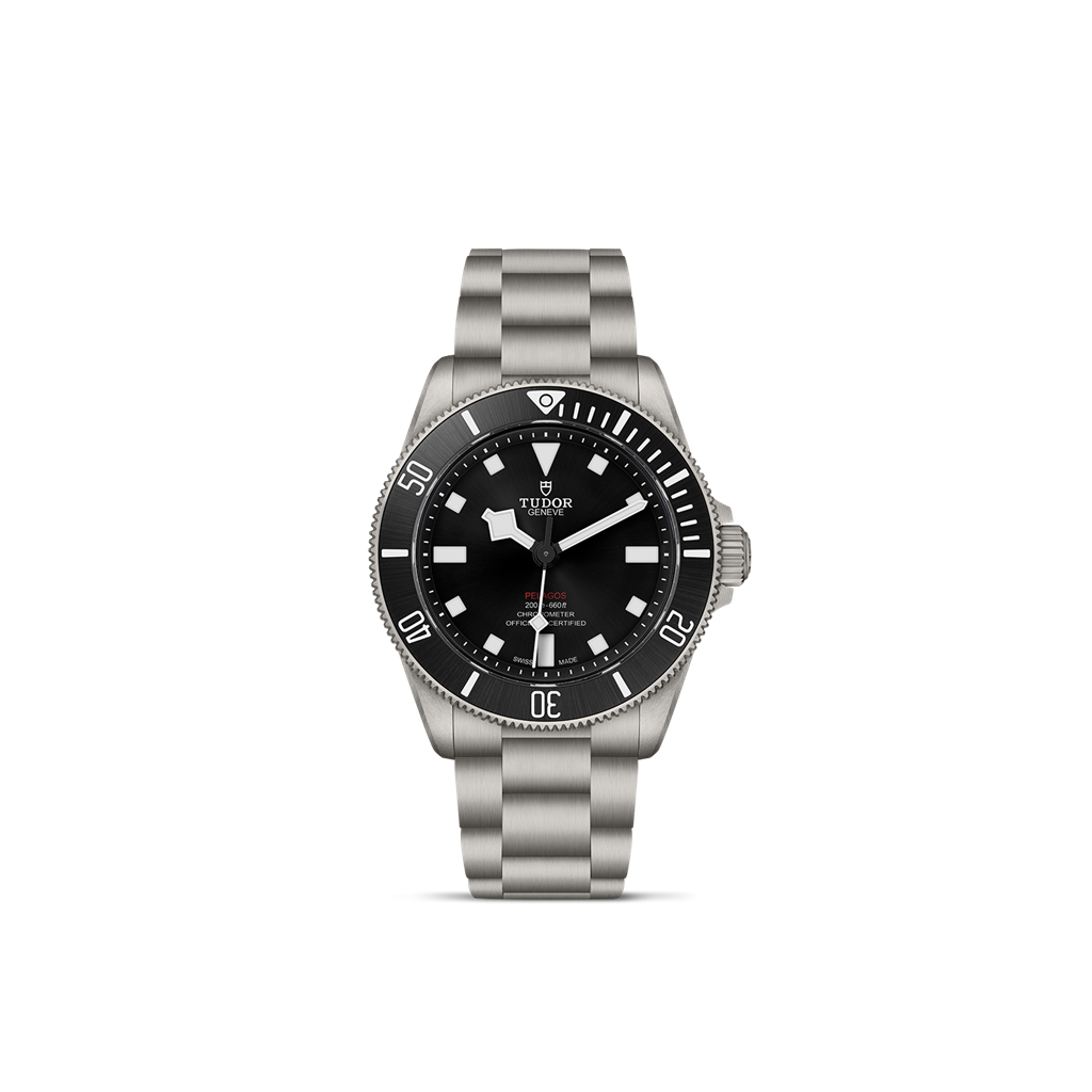 TUDOR Pelagos 39 M25407N-0001