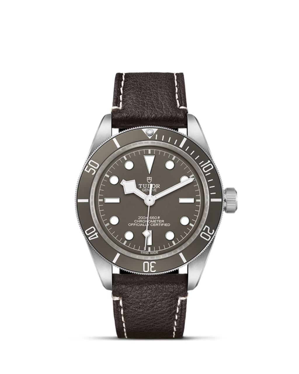 Black Bay 58 925 - M79010SG-0001