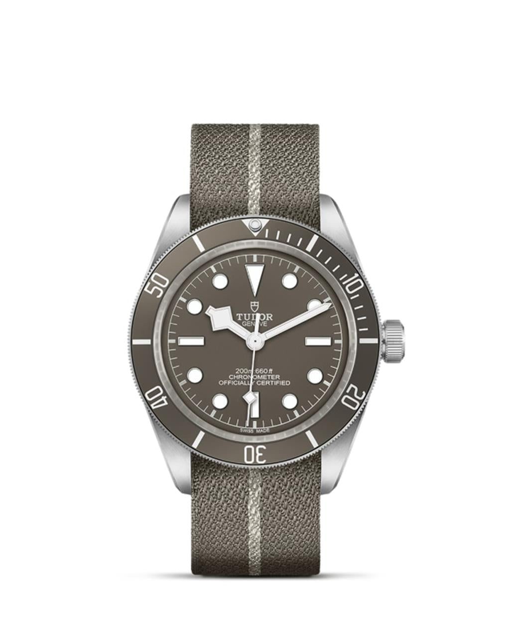 Black Bay 58 925 - M79010SG-0002