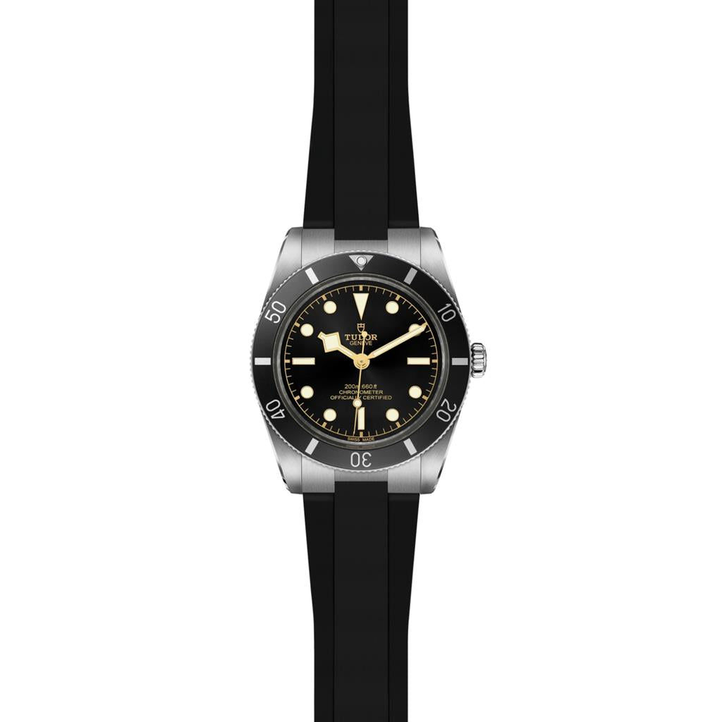 Black Bay 54 - M79000N-0002