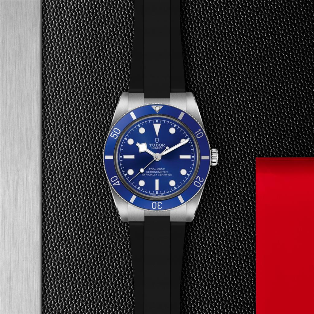 Black Bay 54 - M79000B-0002