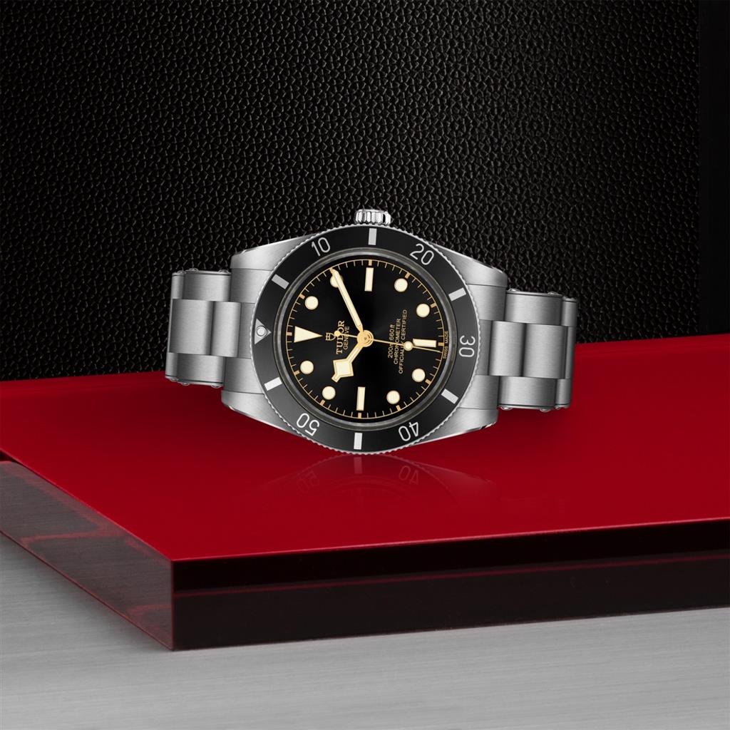 Black Bay 54 - M79000N-0001