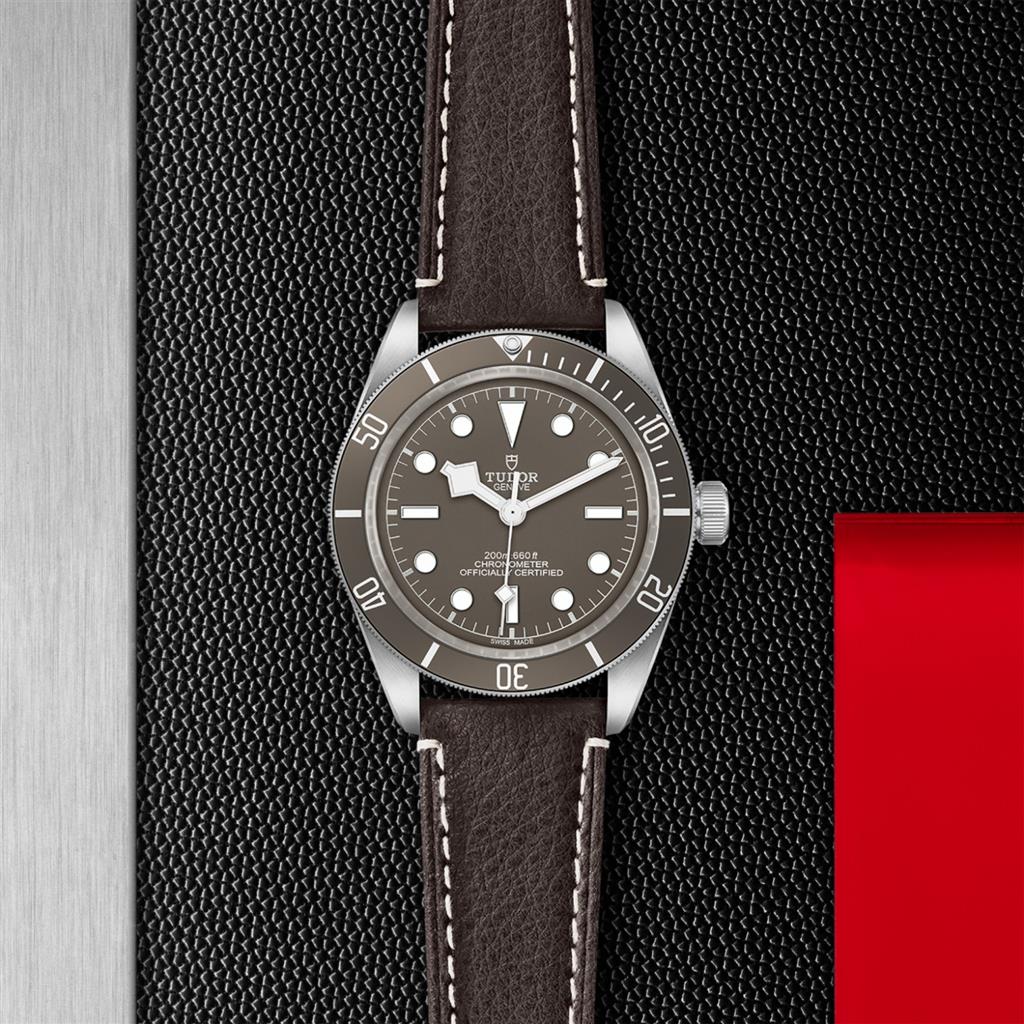 Black Bay 58 925 - M79010SG-0001