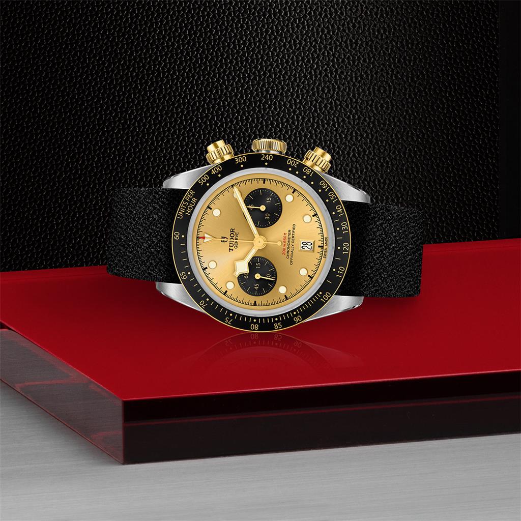 TUDOR Black Bay Chrono S&G - M79363N-0006