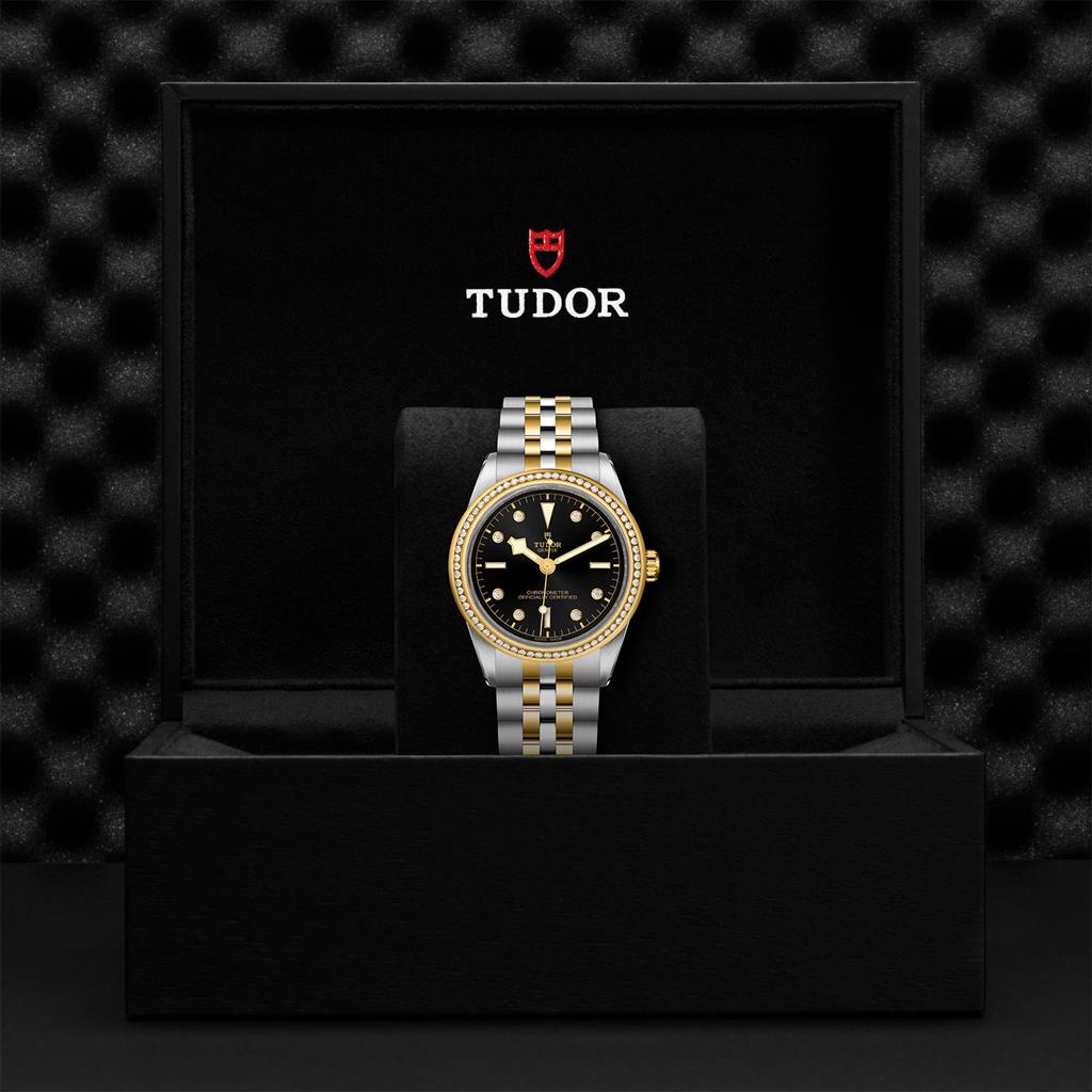 TUDOR Black Bay 39 S&G