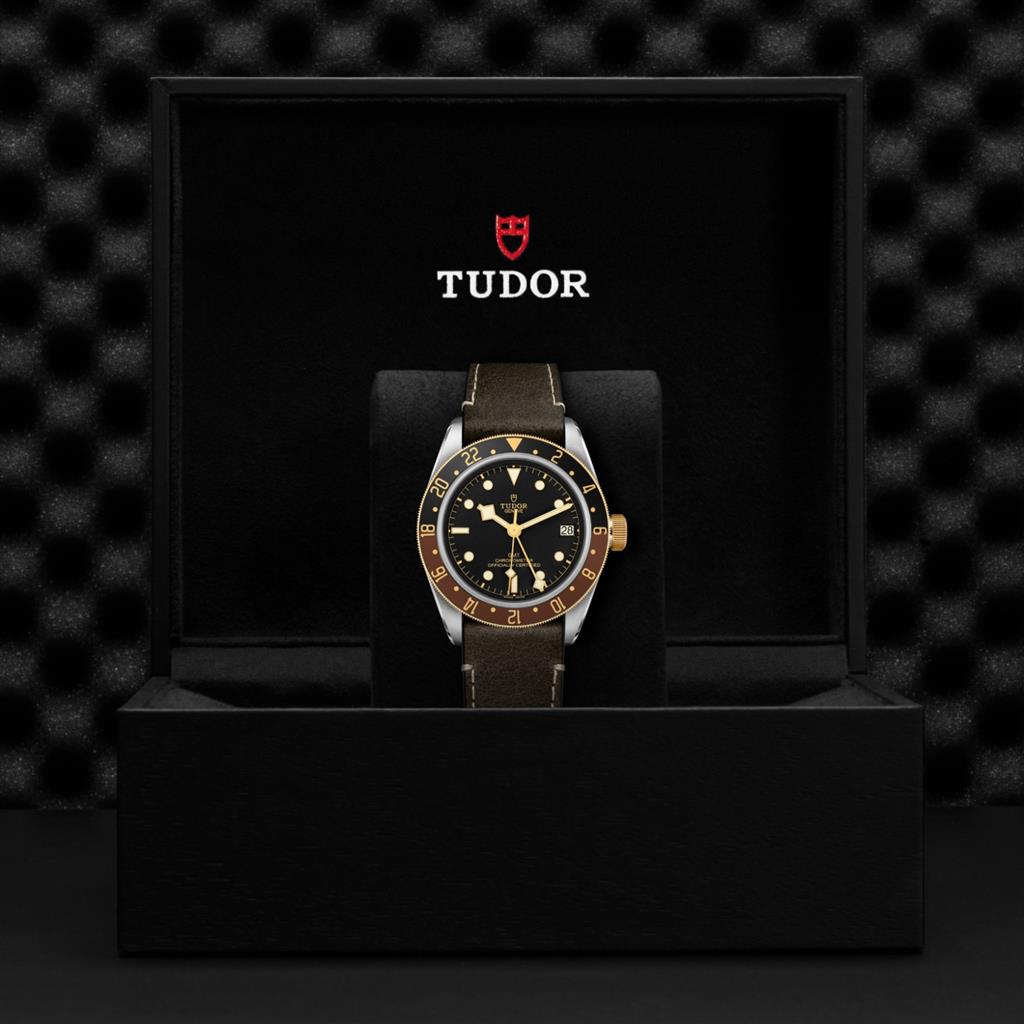 Black Bay GMT S&G M79833MN-0003
