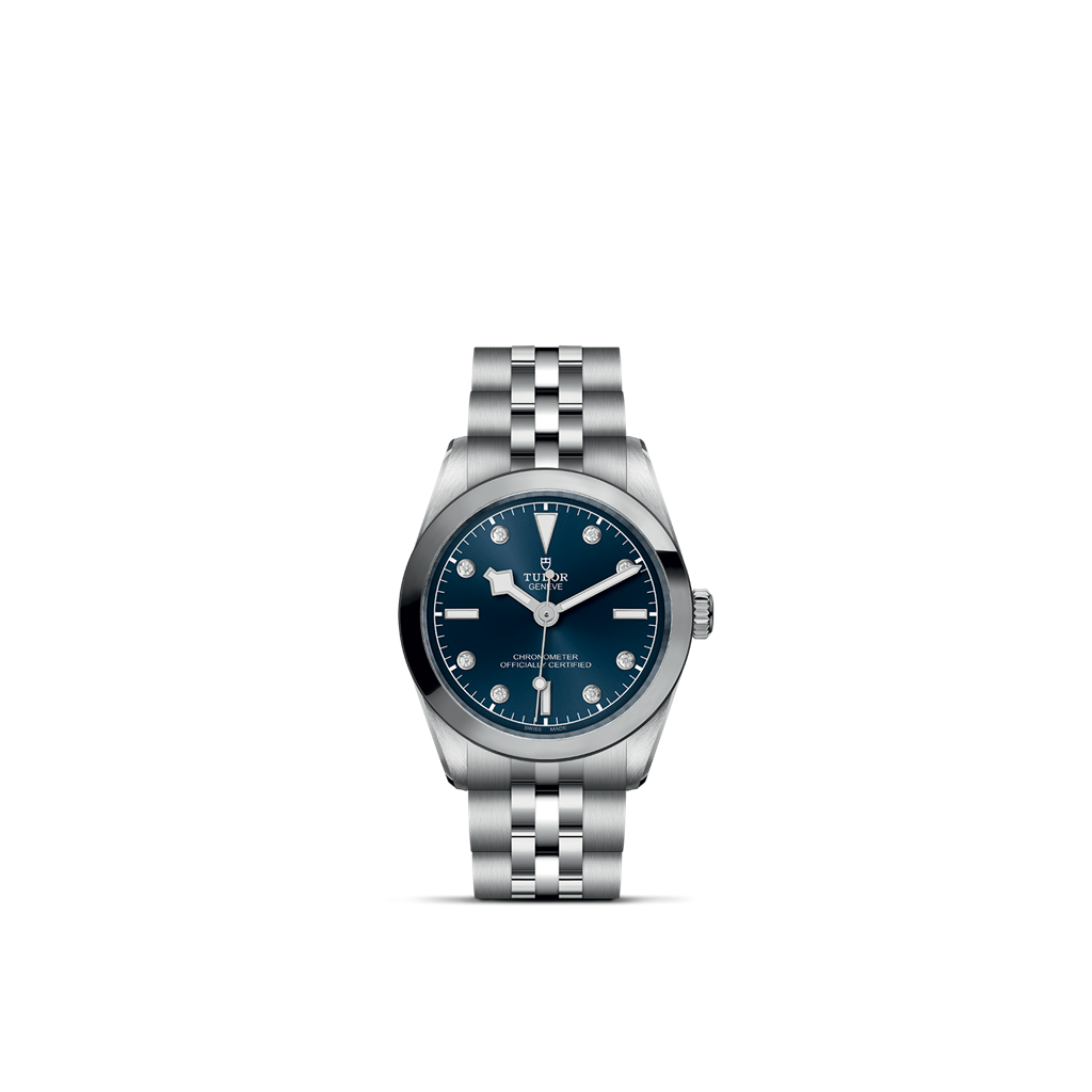 TUDOR Black Bay 31 - M79600-0005