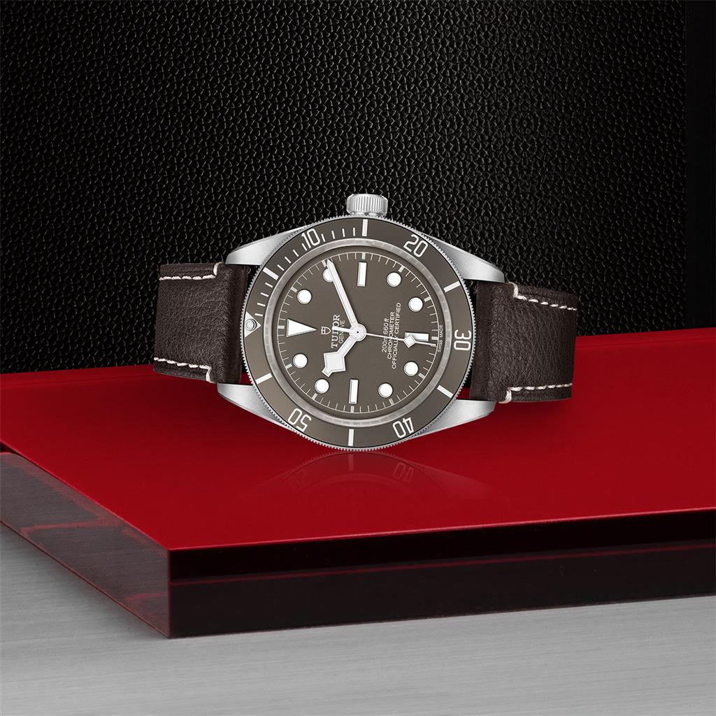 TUDOR BLACK BAY FIFTY-EIGHT 925