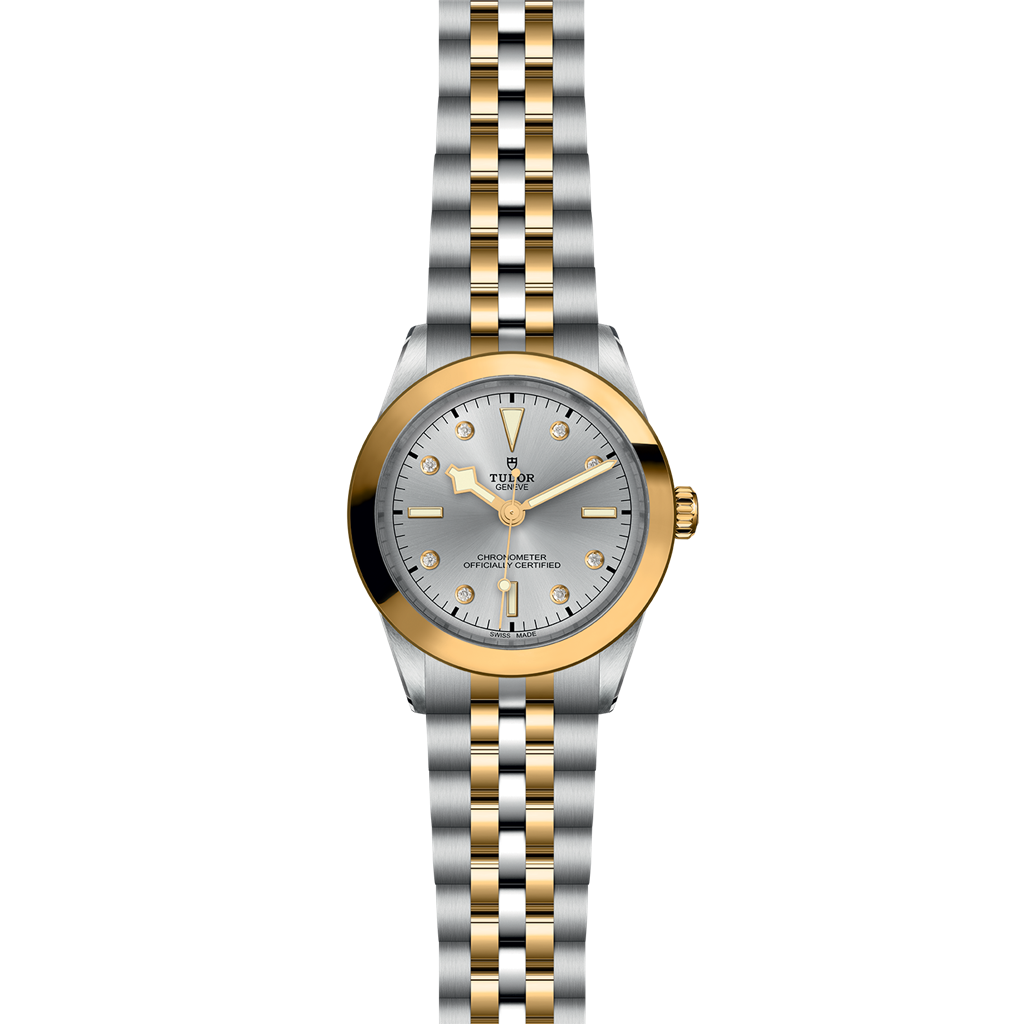 TUDOR Black Bay 39 S&G