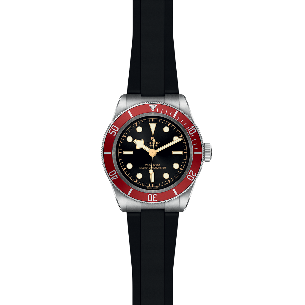 TUDOR Black Bay