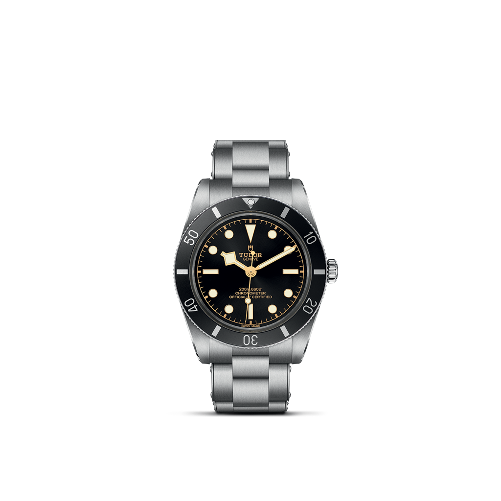 TUDOR Black Bay 54 