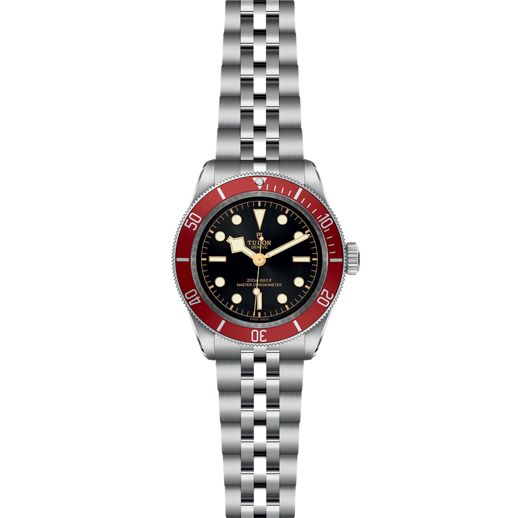 TUDOR Black Bay