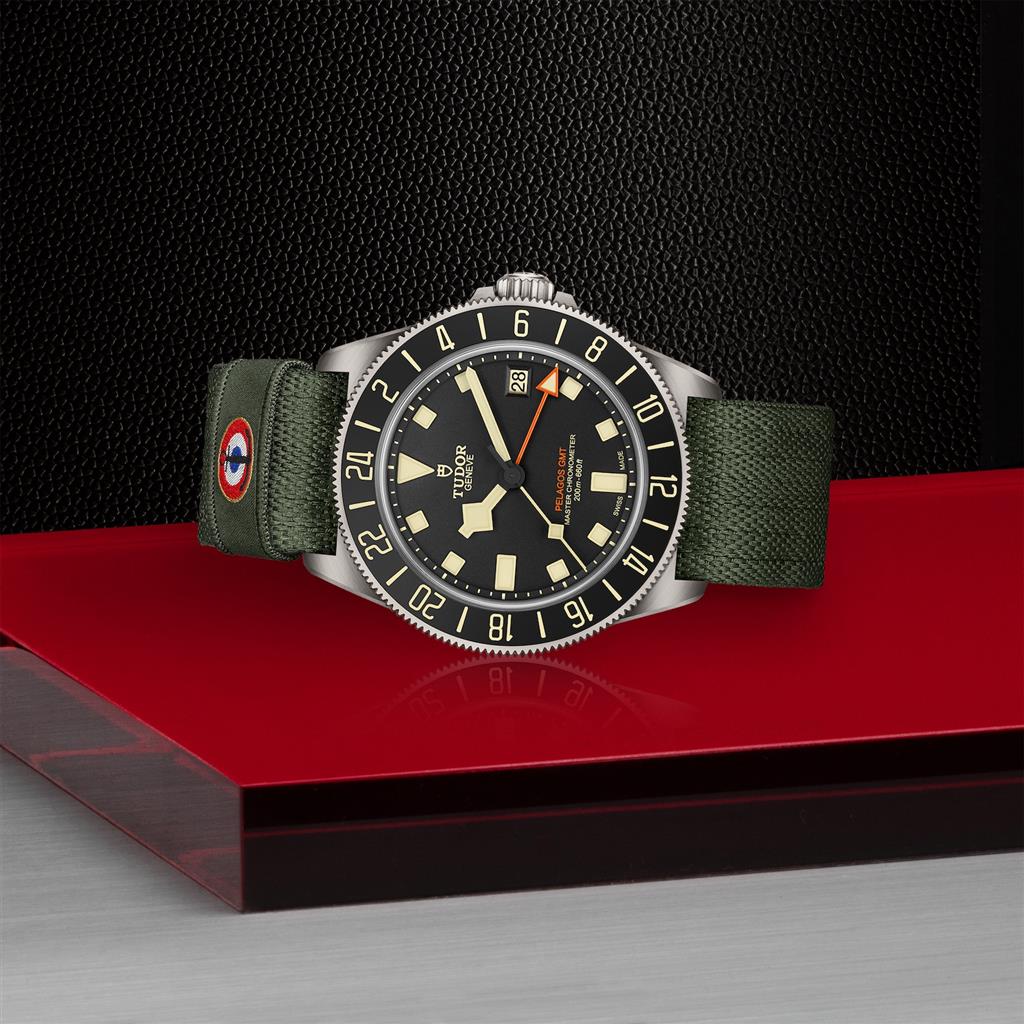 Tudor Pelagos FXD GMT - M2542G247NU-0002