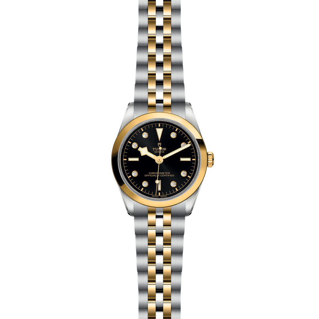 TUDOR Black Bay 36