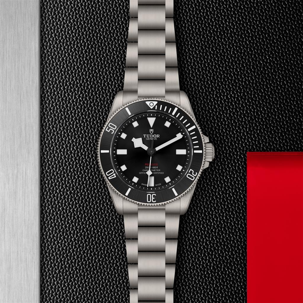 TUDOR Pelagos 39 - M25407N-0001